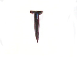 Upholsters Tacks - DISCONTINUE WHEN OUT