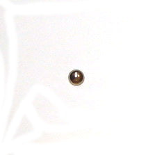 019.1009NI