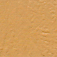 Sem Color Coat *Discontinued Once Out