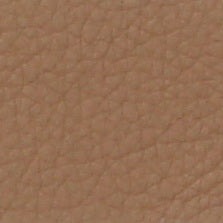 253131 Tan