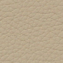 Mammut Top Grain Leather