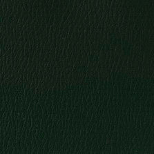 AM-36 Yew Green
