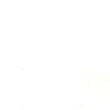 Allsport