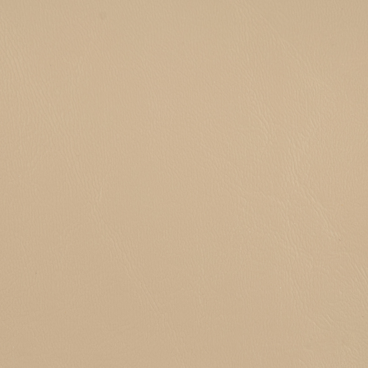 Seascape Marine