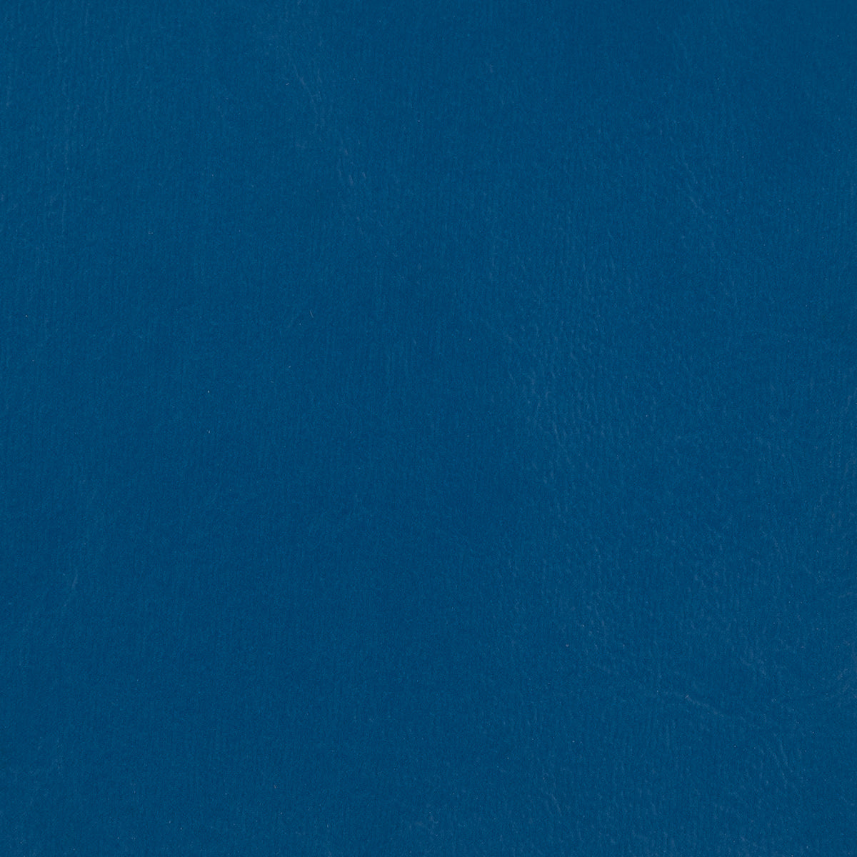 Seascape Marine