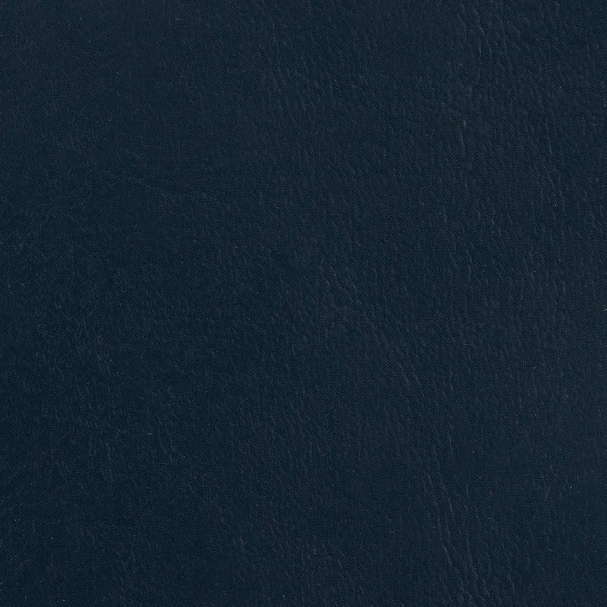 Seascape Marine