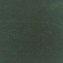 CR-503 Forest Green
