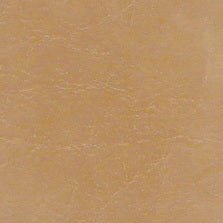 CR-506 Camel