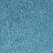 Dolphin (Duran)