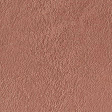 DOL-93 Mauve Rose