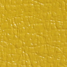 DP6116 Yellow