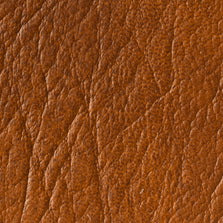 EE-2411 Ponderosa