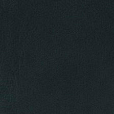 EP-85 Antique Blue