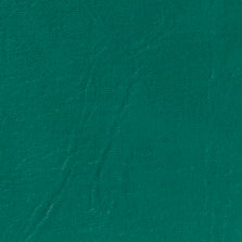 EX-241 Aqua Teal