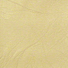 FR-401 Champagne