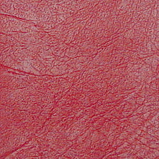 FR-424 Special Red