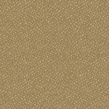 Montgomery - Special Order