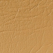 OX-24 Tan
