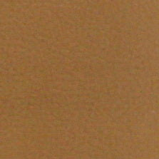 PG-03 Empire Tan