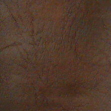 RAW-410 Buckskin