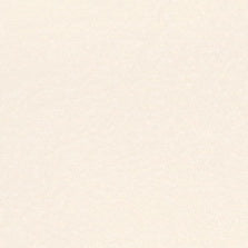 SBD-137 Gel White