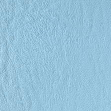 SF-61 Tropical Blue