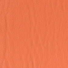 SF-77 Apricot