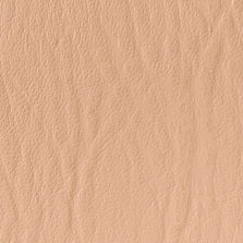 SF-78 Coral