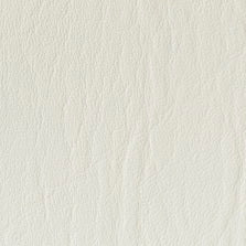 SF-80 White Ice