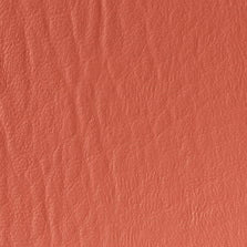 SF-84 Salmon