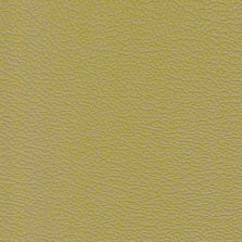 SH- 7688 Camel