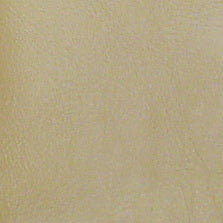 SIE-6691 Lt Neutral
