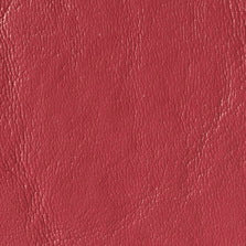 STA-18 Raspberry