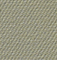 TG-472 Indian Birch