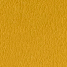US-324 Goldenrod