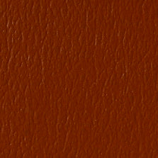 US-369 Gingersnap
