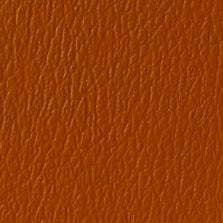US-377 Cinnamon