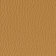 US-387 Camel