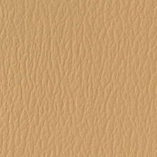 US-401 Vicuna
