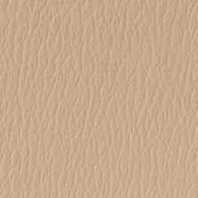 US-409 Bisque