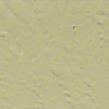 Sem Color Coat *Discontinued Once Out