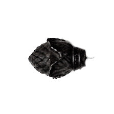 Finials For Wrought Iron 1"