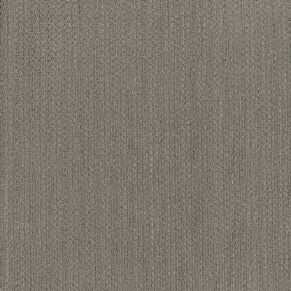 Alert Silver