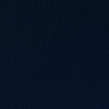 AM-35 Regimental Blue