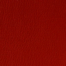 AM-39 American Beauty