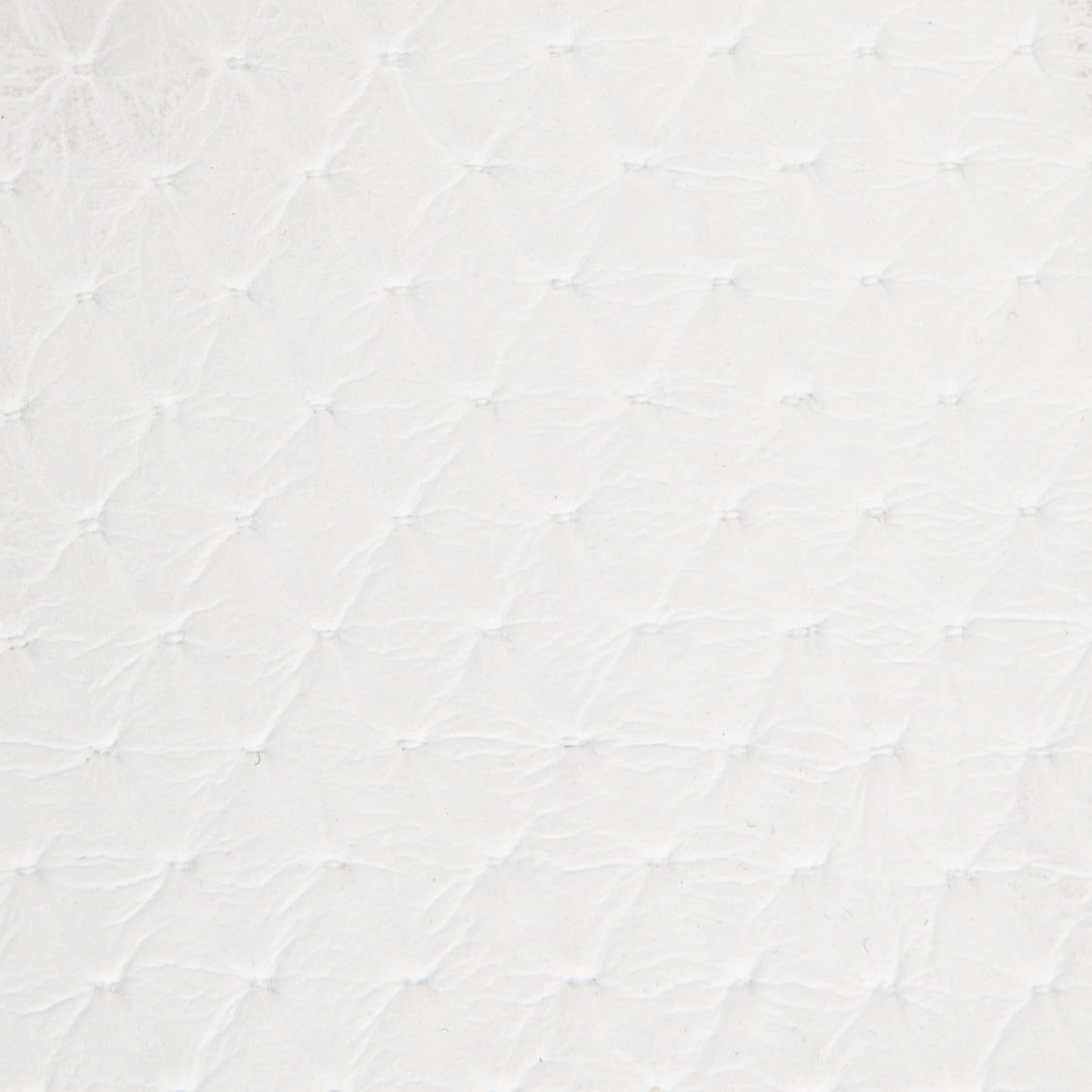 Seascape Marine Diamond and Carbon Fiber