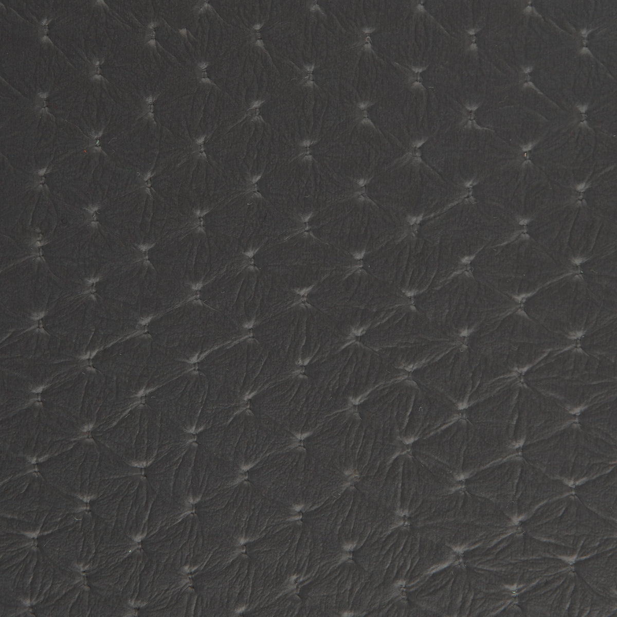 Seascape Marine Diamond and Carbon Fiber