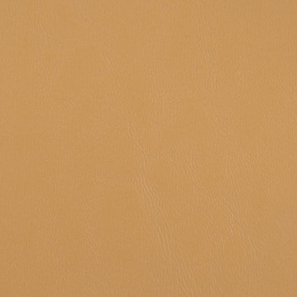 Seascape Marine Diamond and Carbon Fiber