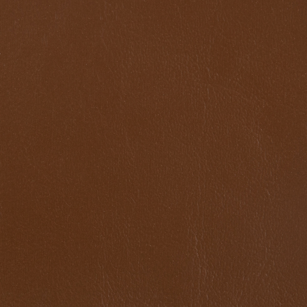 Seascape Marine Diamond and Carbon Fiber