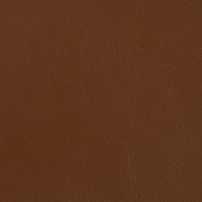 Seascape Marine Diamond and Carbon Fiber